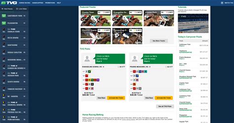 TVG Review 2022 .
